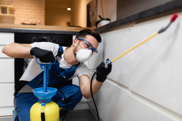 Best Affordable Pest Control Services  in Aldine, TX