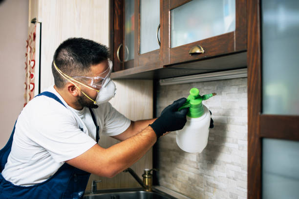 Pest Control for Restaurants in Aldine, TX