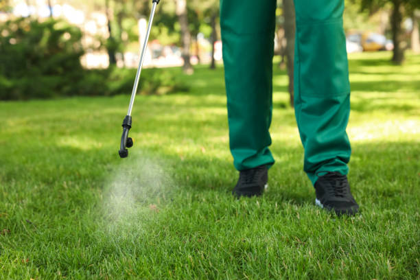 Flea Control Services in Aldine, TX