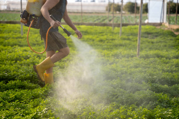 Best Residential Pest Control  in Aldine, TX