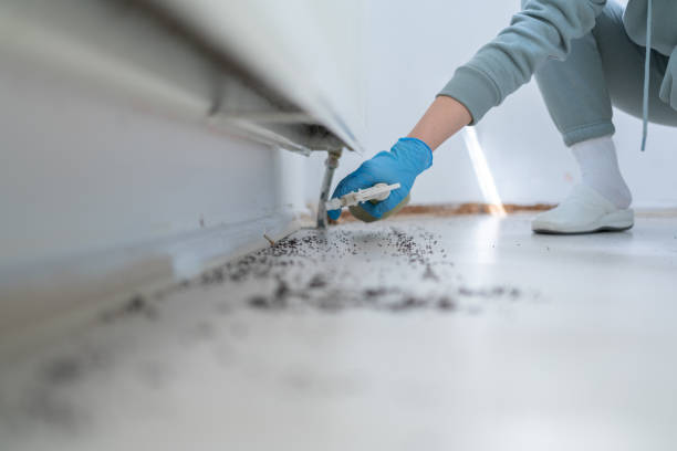 Best Pest Control Near Me in Aldine, TX