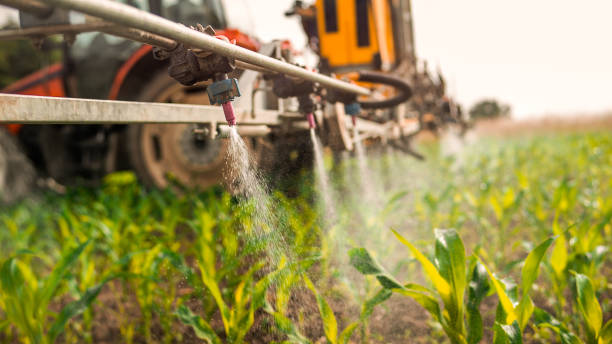 Professional Pest Control in Aldine, TX